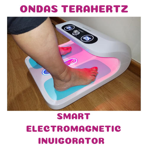 Copia de catala SERVICIOS CARMEN